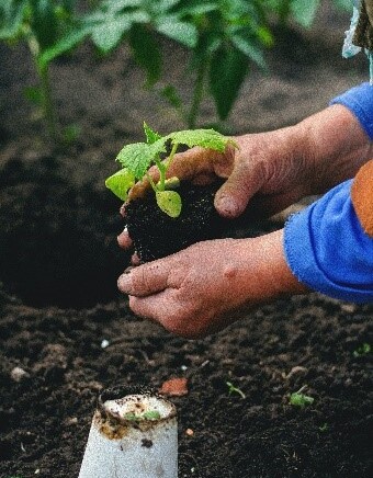 pexels-fredox-carvalho-9201371